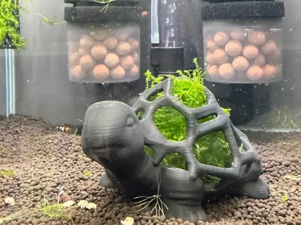 3d Deko-Moosschildkröte im Aquarium fotografiert mit Moos