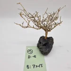 Aus Lavastein und Naturholz hergestellter Garnelenbaum - Dekoration für das Aquarium. Produktbild