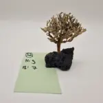 Garnelenbaum S 9x7