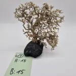 Garnelenbaum Produktbild
