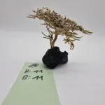 Garnelenbaum Produktbild