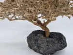 PaderGarnelen Garnelenbaum Produktbild in der Nahaufnahme