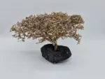 Garnelenbaum von Padergarnelen Produktbild