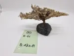 Garnelenbaum Produktbild von vorne