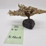 Garnelenbaum Produktbild von vorne
