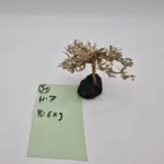 Garnelenbaum S 7x9