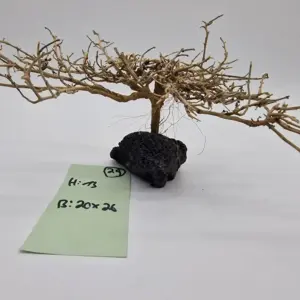 Garnelenbaum Produktbild