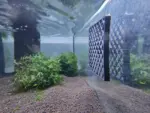 moosgitter quadrat im aquarium ohne moos