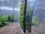 Moosgitter rechteck im Aquarium mit Moos gezeigt