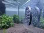 Moosgitter rund im Aquarium ohne Moos fotografiert