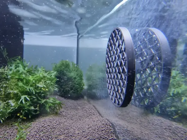 Moosgitter rund im Aquarium ohne Moos fotografiert